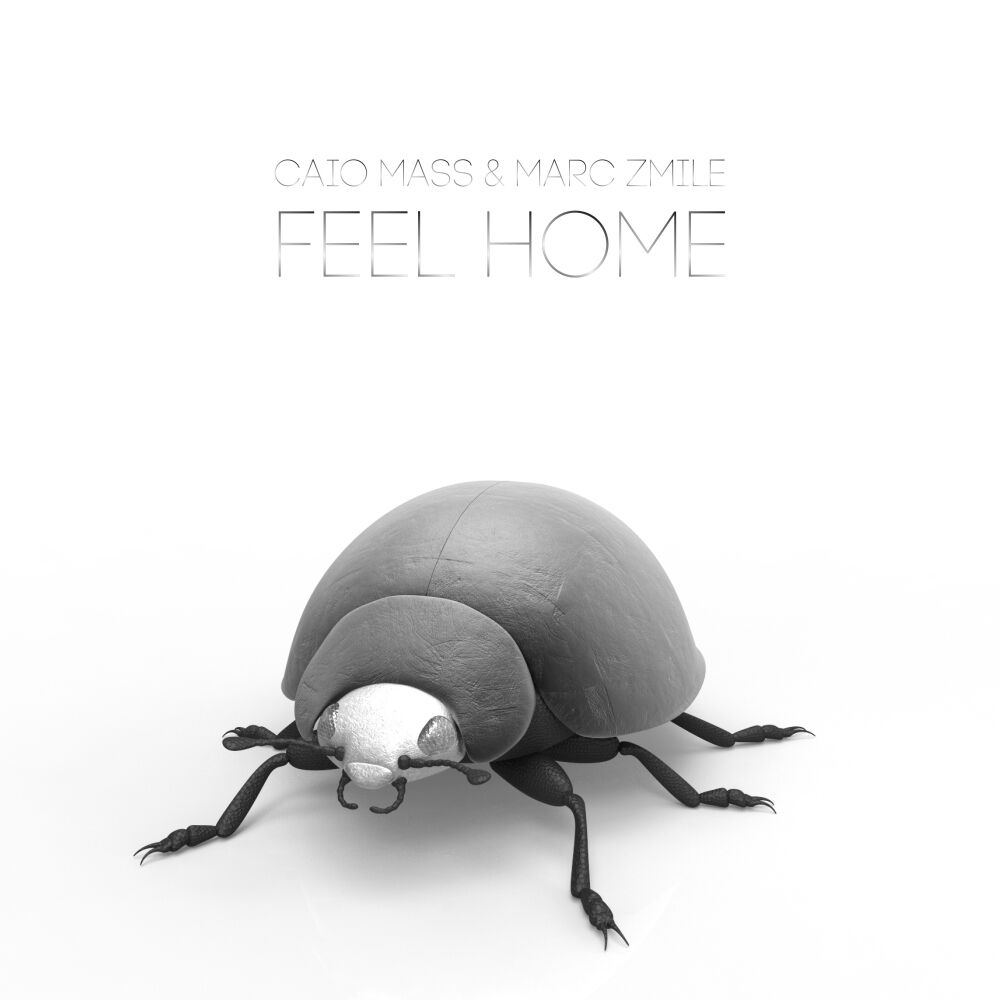Picture of Feel Home