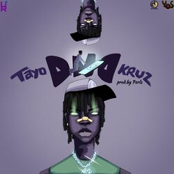 Cover of DND