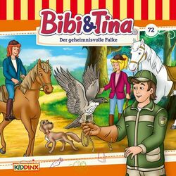 Cover of Folge 72: Der geheimnisvolle Falke