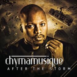 Cover of After the Storm