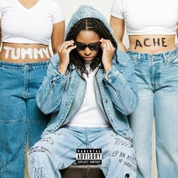 Cover of Tummy Ache