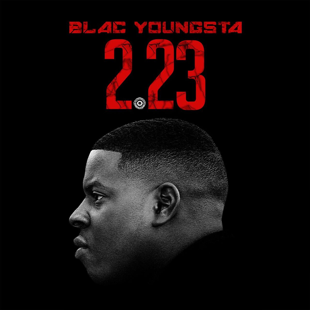 Album cover of 223