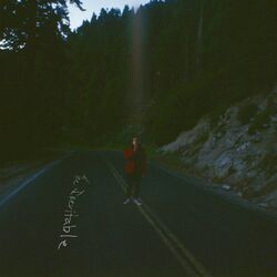 Cover of The Inevitable