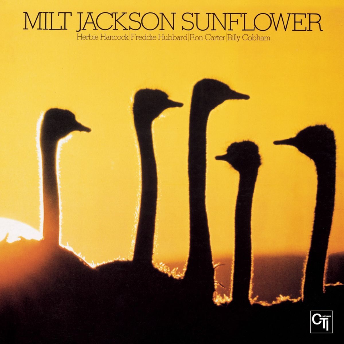 Album cover of Sunflower
