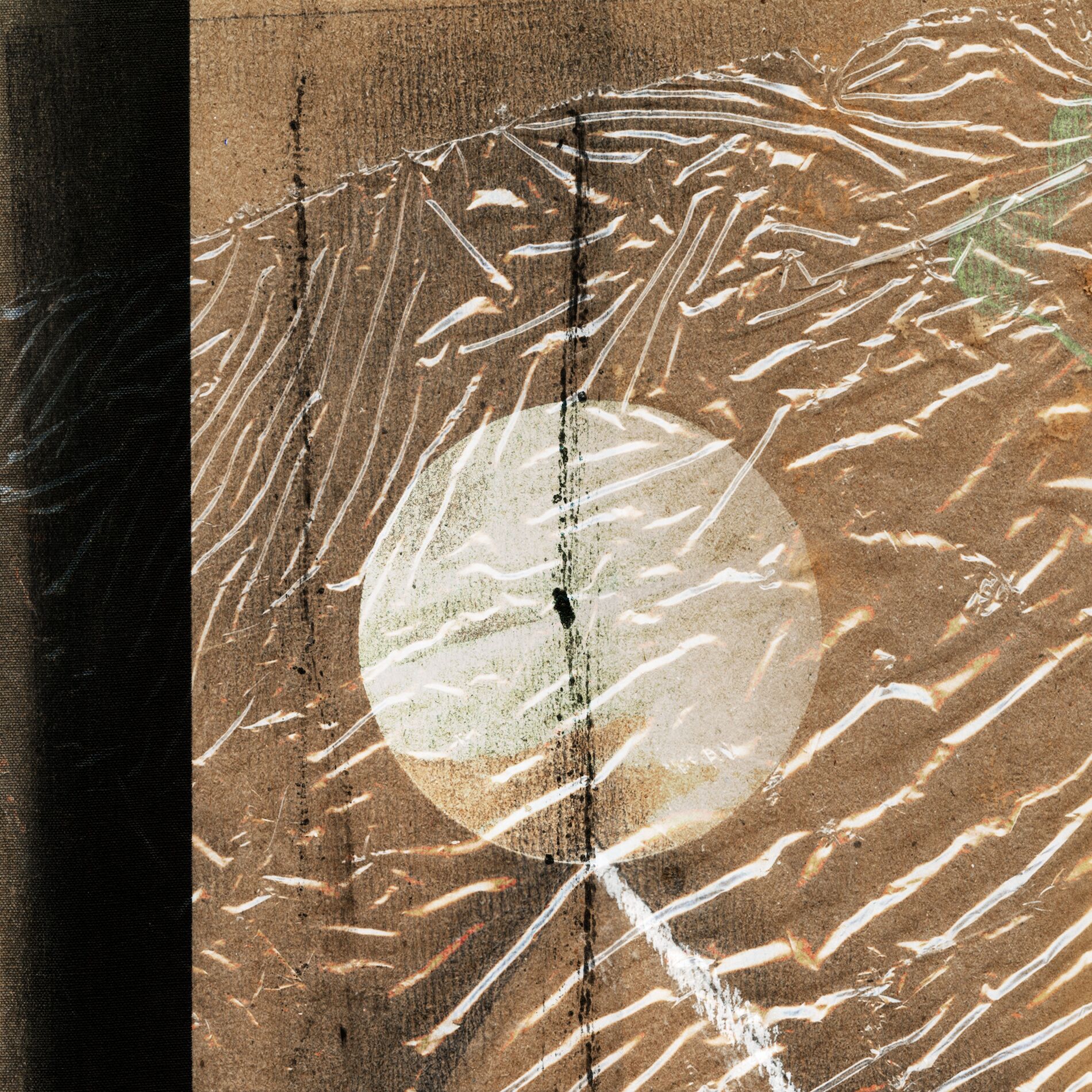Album cover of Parasite