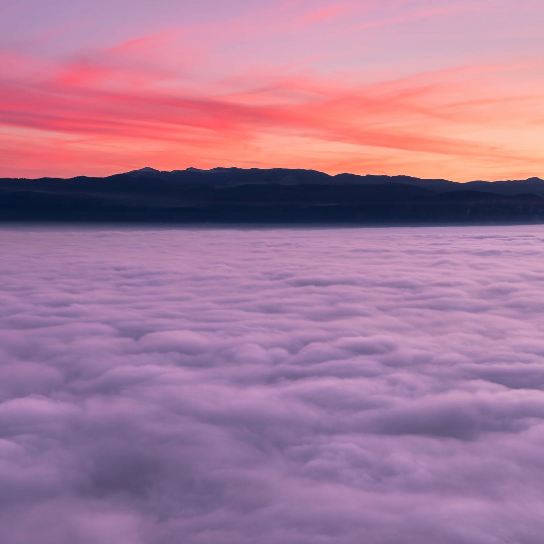 Album cover of 50 Serene Sounds for Spa & Relaxation