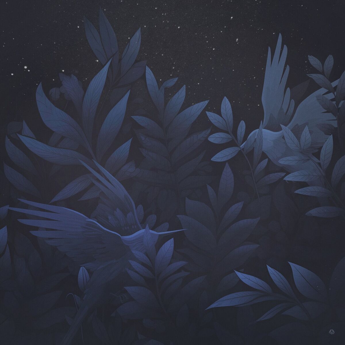 Album cover of Midnight Coffee