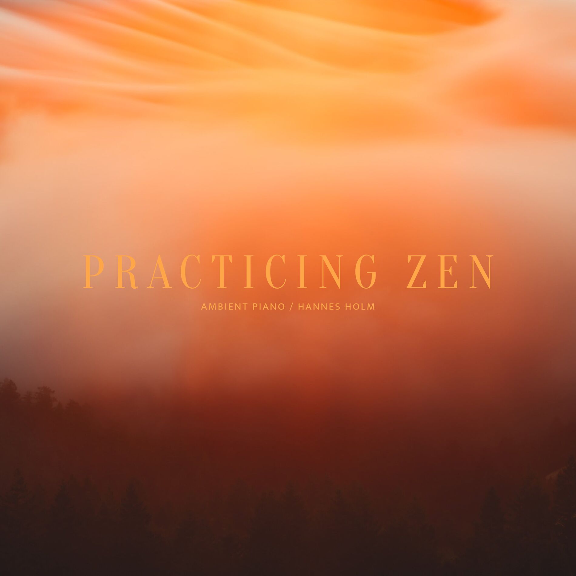 Album cover of Practicing Zen