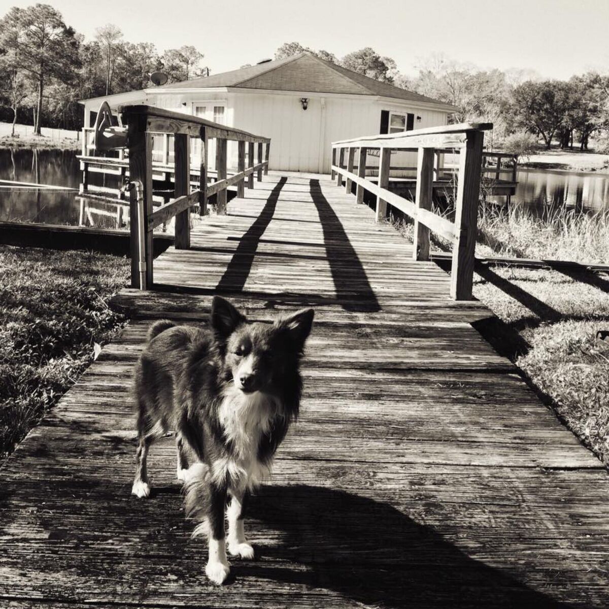 Album cover of At the Lakehouse