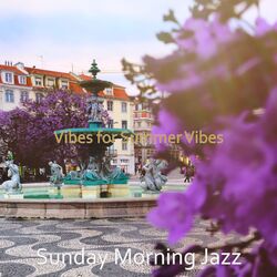 Cover of Vibes for Summer Vibes