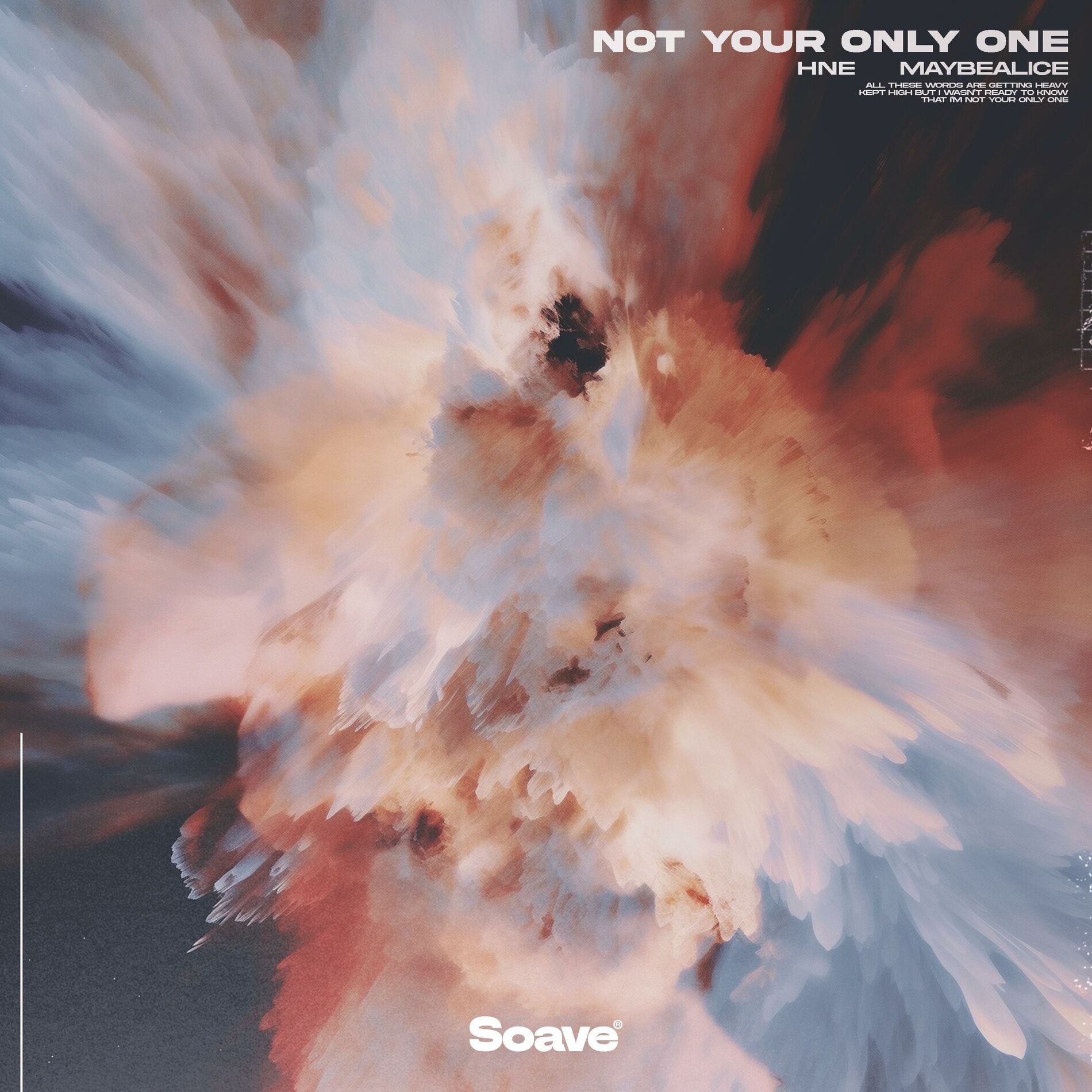 Album cover of Not Your Only One