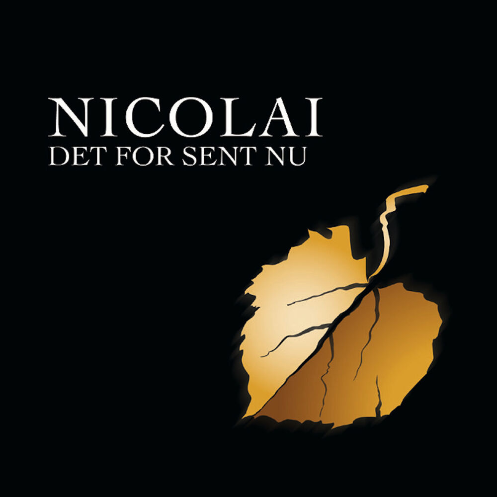 Picture of Det for sent nu