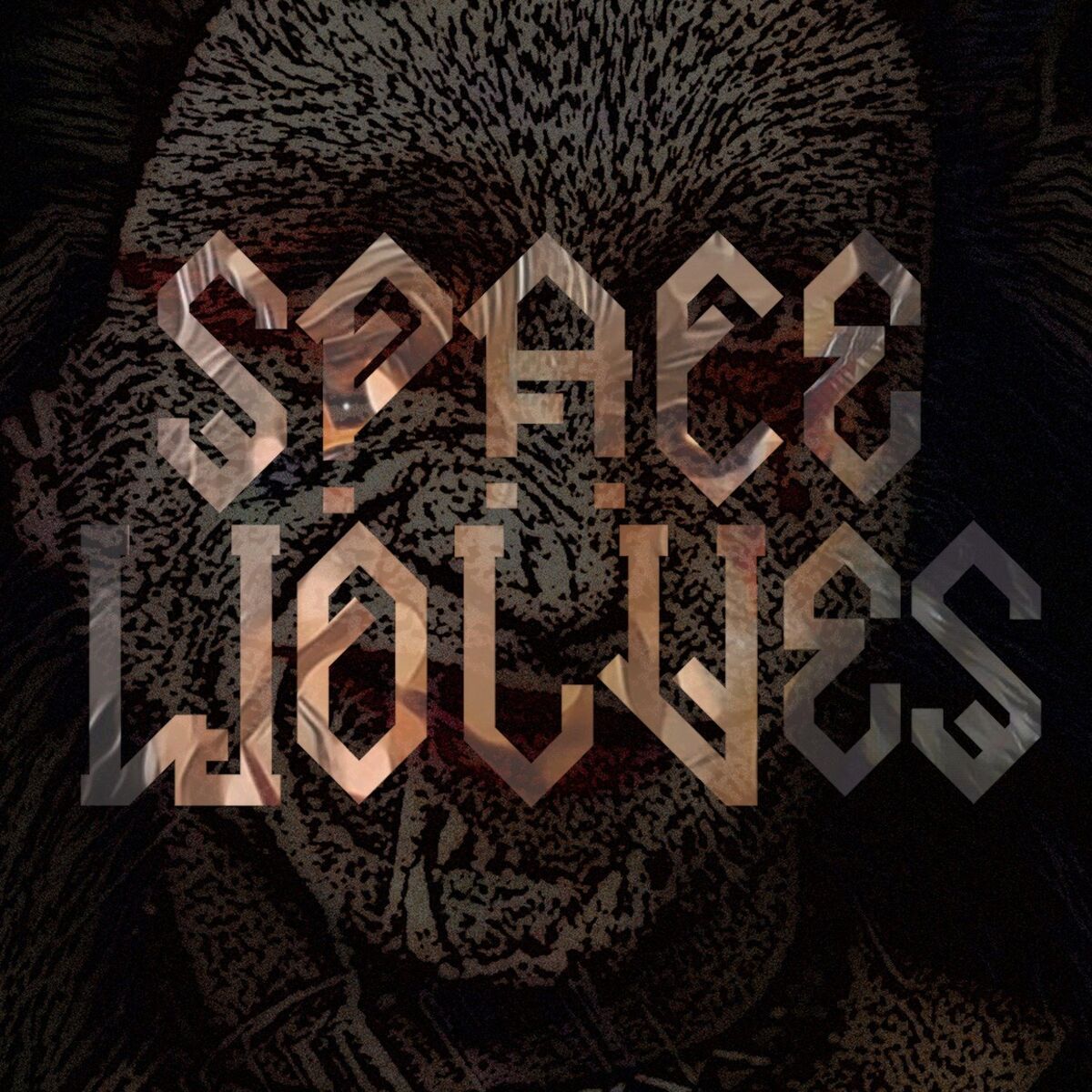 Album cover of Spacewolves