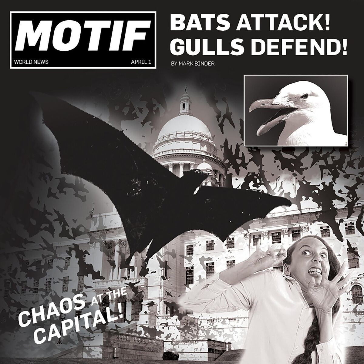 Album cover of Bats Attack, Gulls Defend!