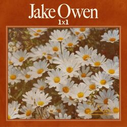 Cover of 1x1