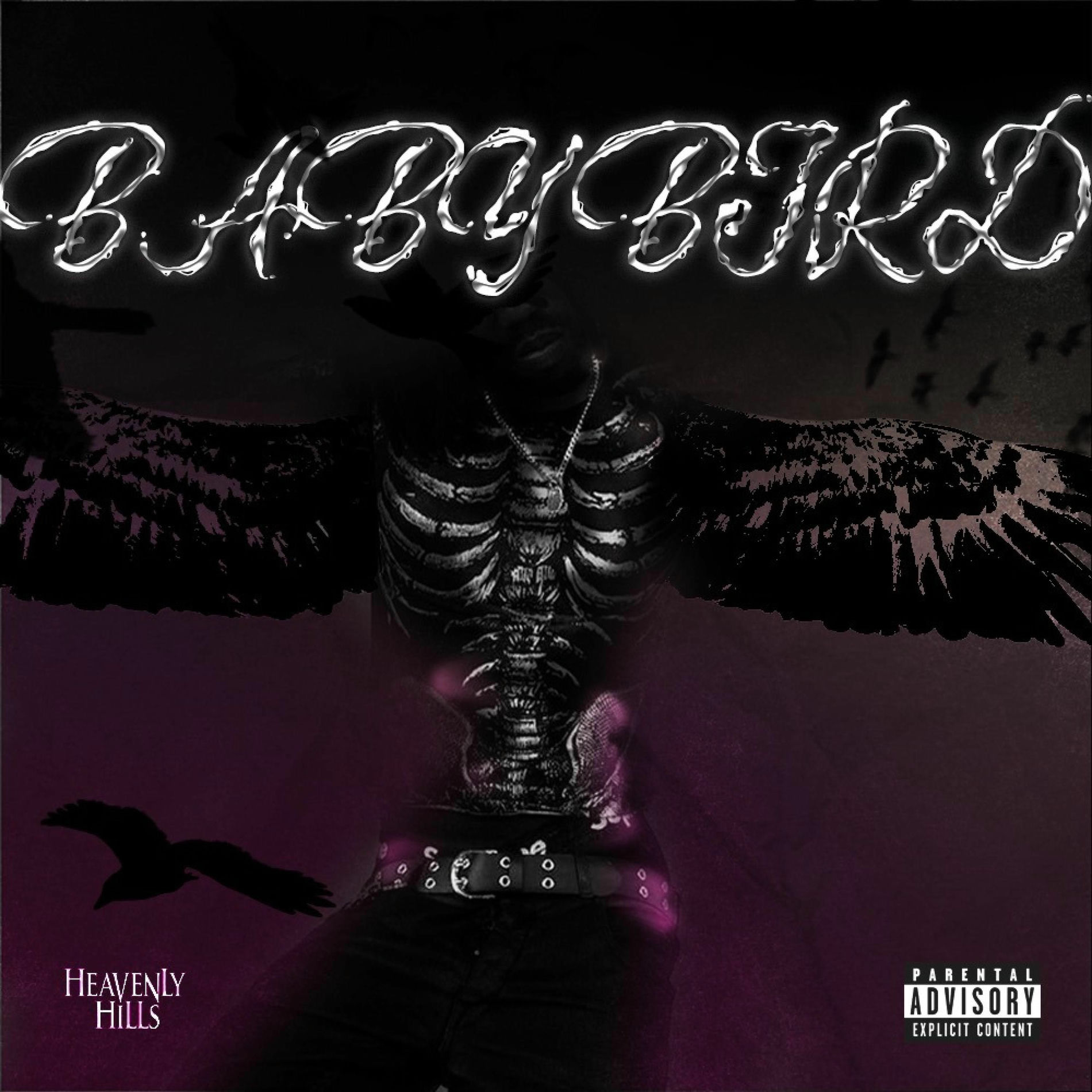 Album cover of Babybird