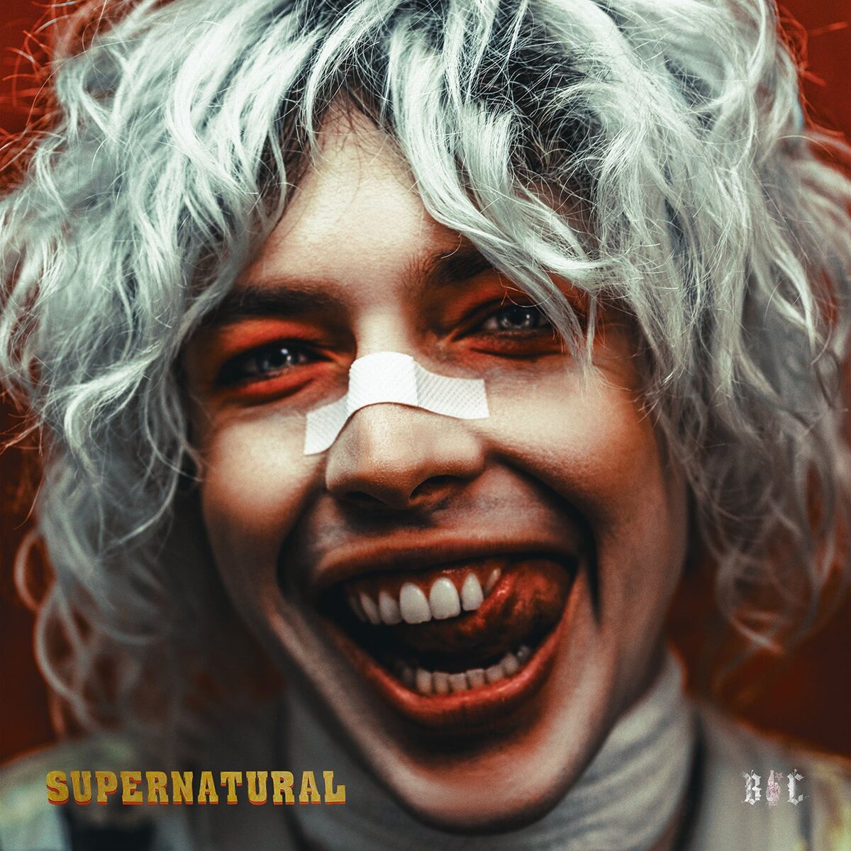 Album cover of Supernatural