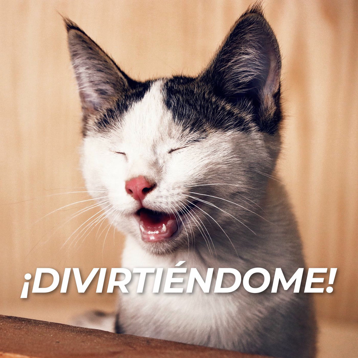 Album cover of ¡Divirtiéndome!