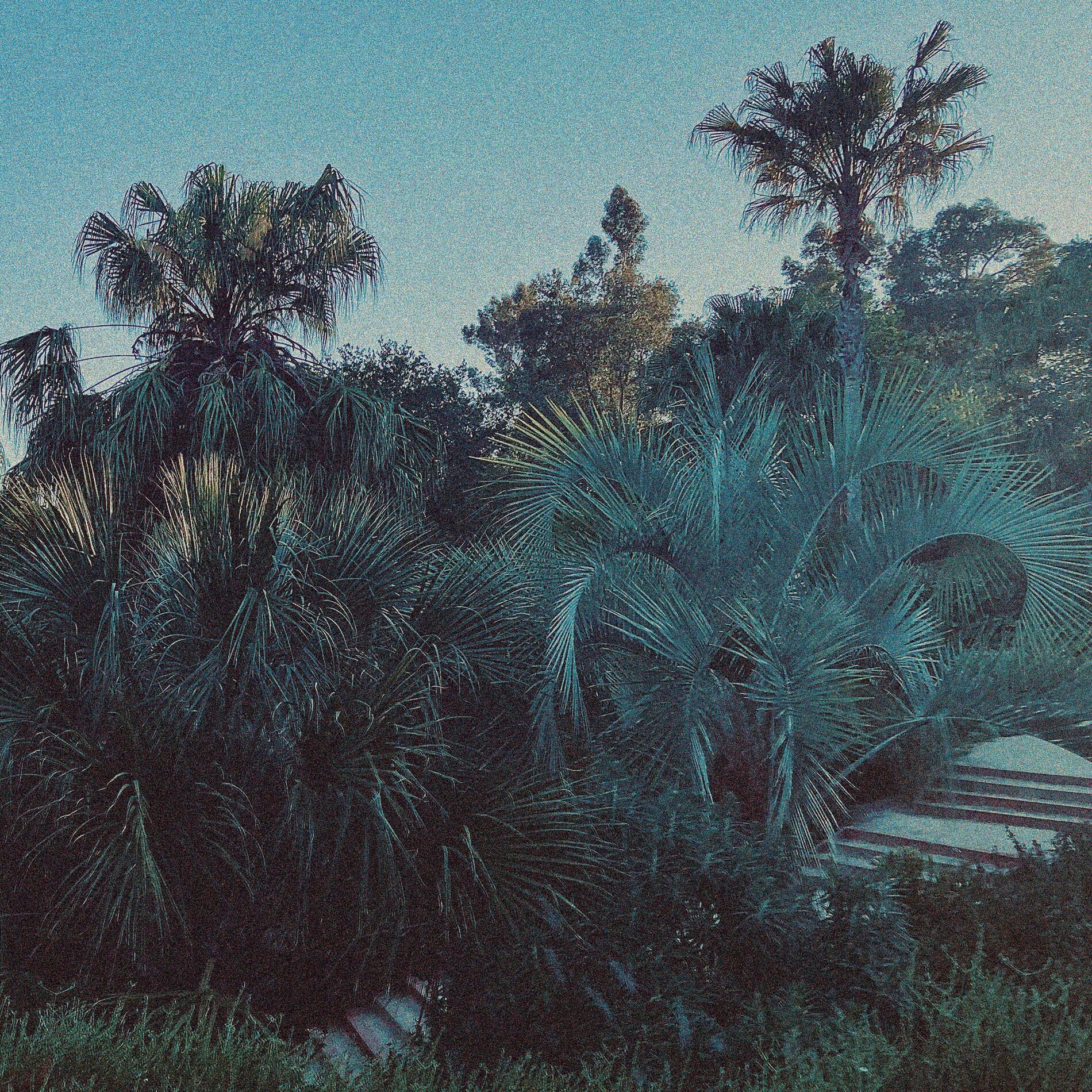 Album cover of Where I'll Be