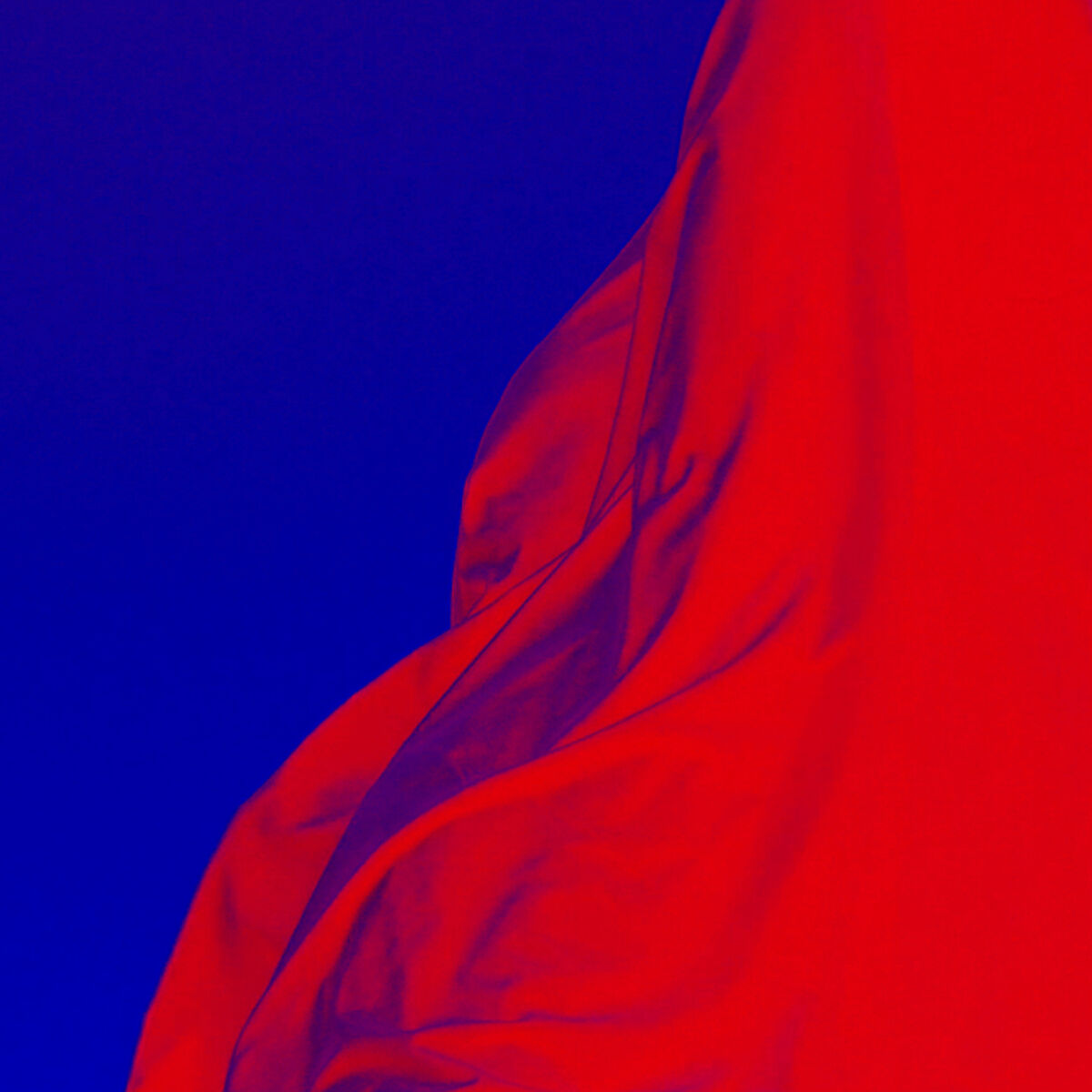 Album cover of El Junco