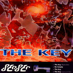 Cover of The Key