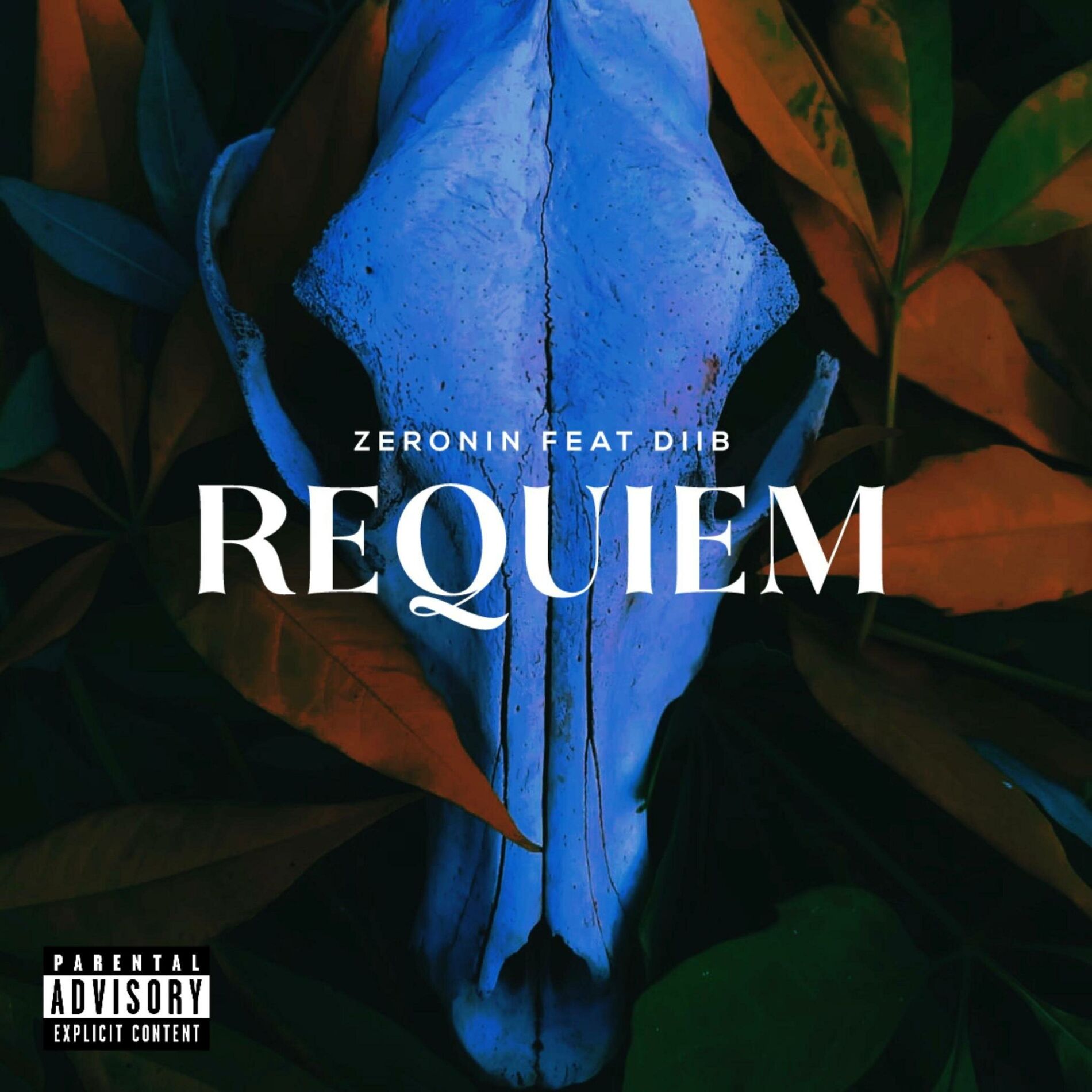 Album cover of Requiem (feat. Diib)