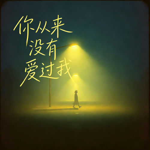 你从来没有爱过我 (男女大合唱深情版)