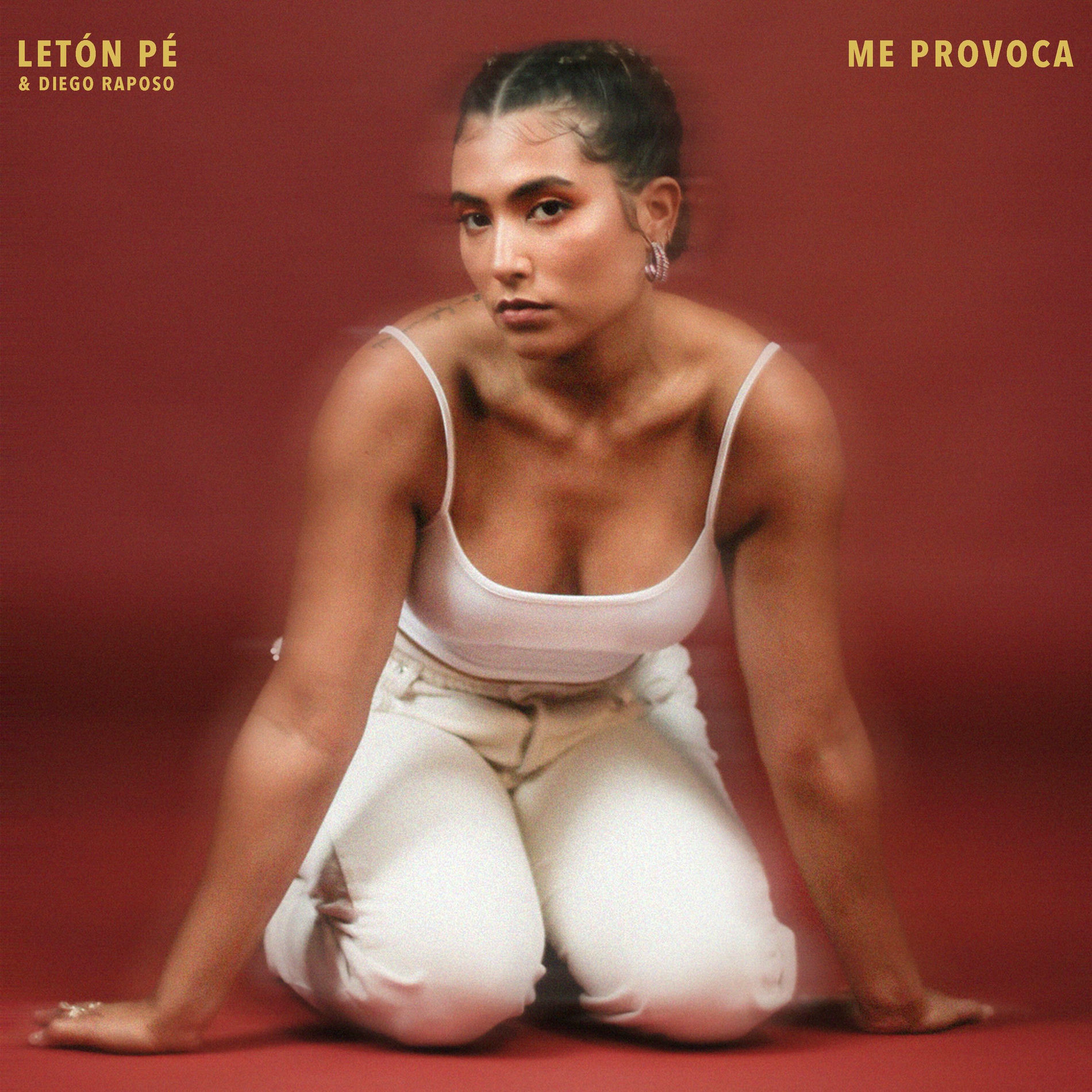 Album cover of Me Provoca
