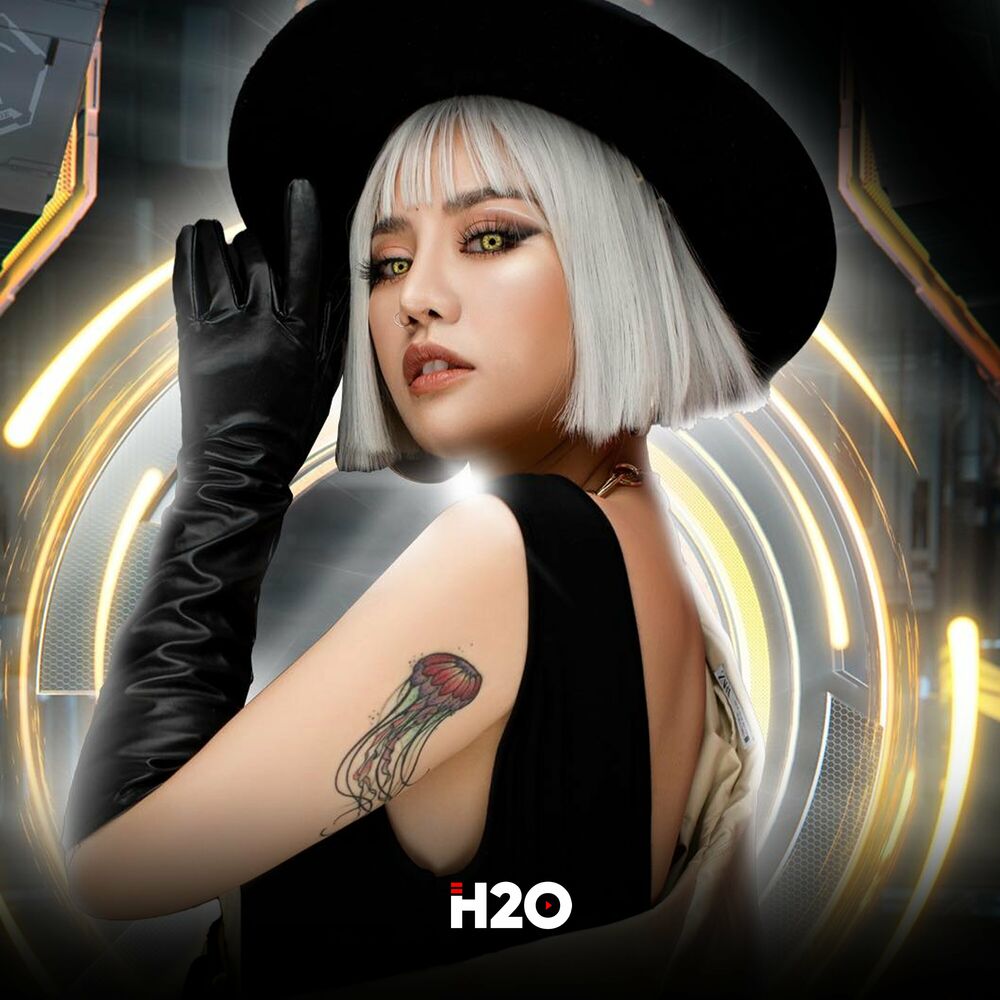 Picture of Yêu Vì Ai Yêu Vì Em (Remix House)