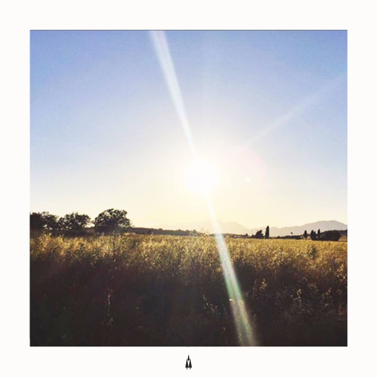Album cover of Maybe Monday