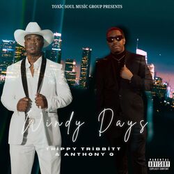 Cover of Windy Days