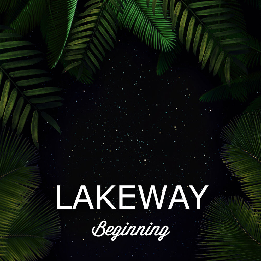 Picture of Beginning