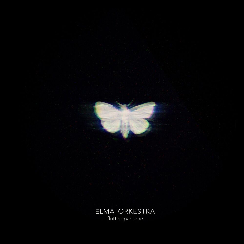 Picture of Flutter: Part One