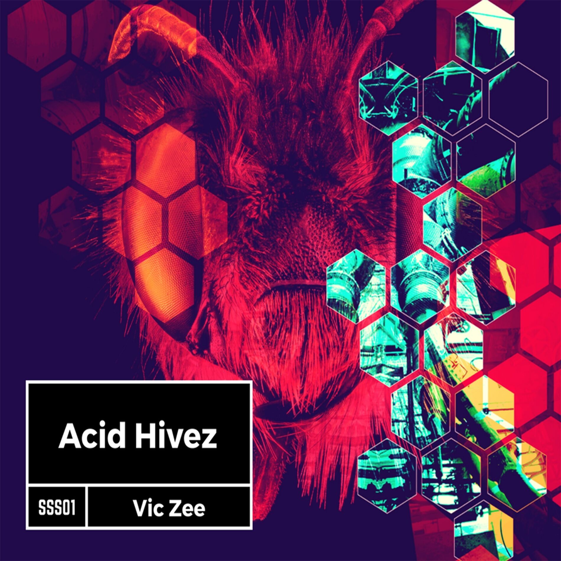 Album cover of Acid Hivez