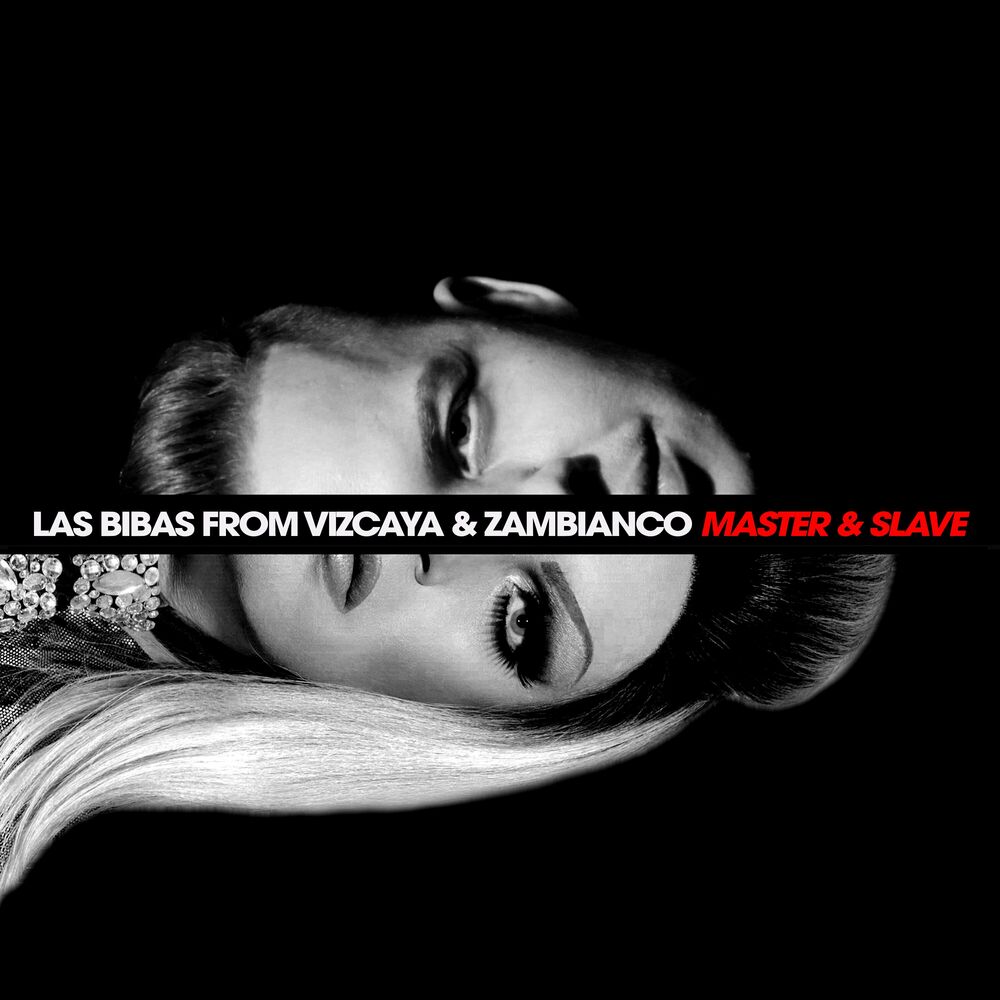 Picture of Master & Slave