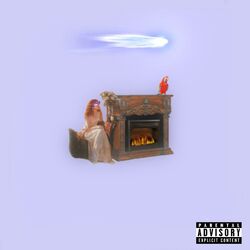 Cover of Fireplace