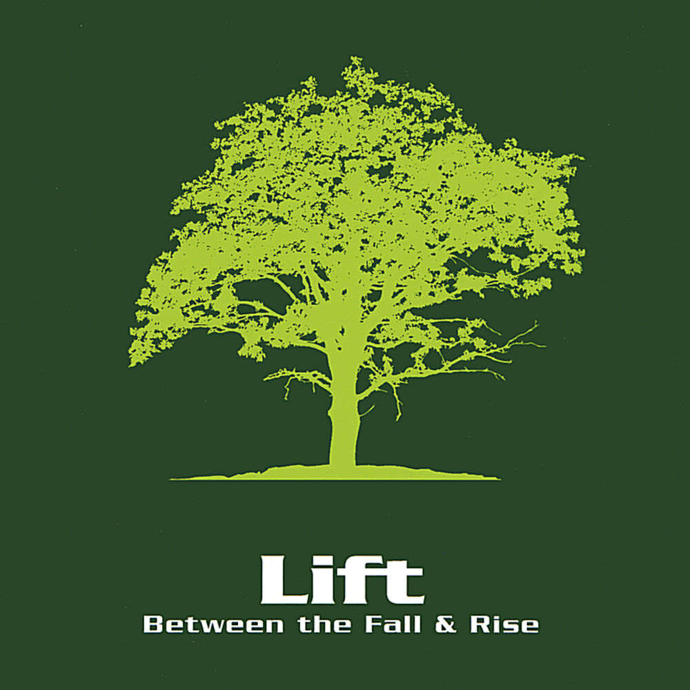 Picture of Between the Fall & Rise