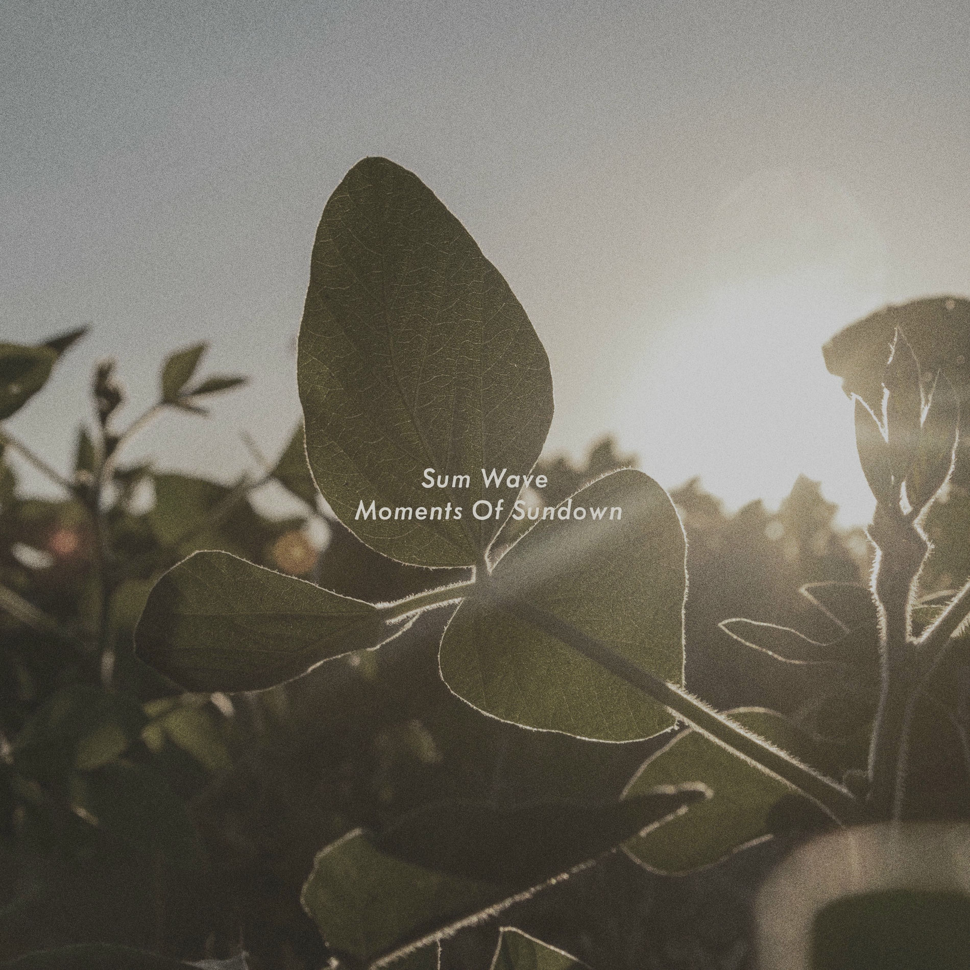 Album cover of Moments Of Sundown