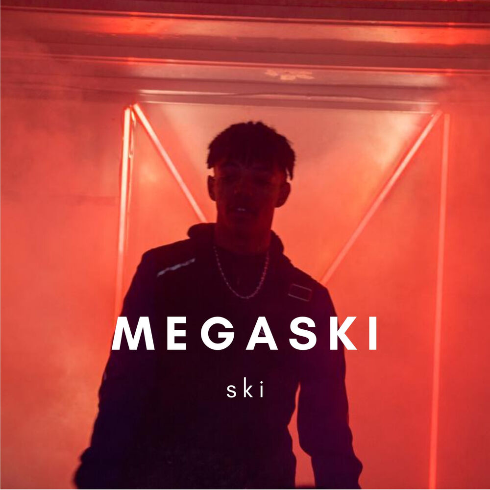 Picture of Ski