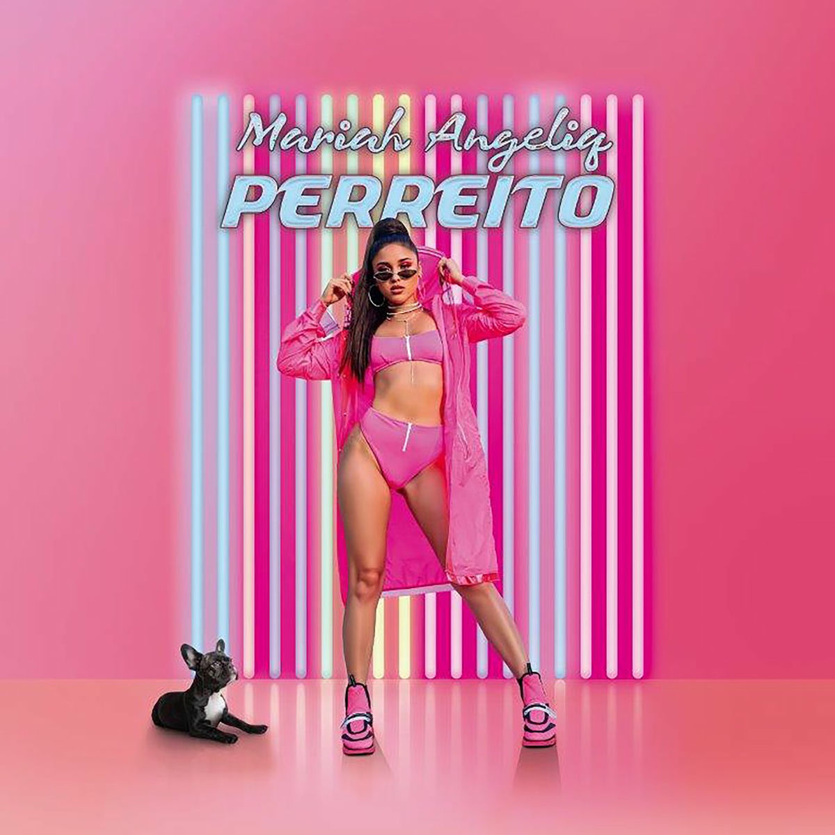 Album cover of Perreito