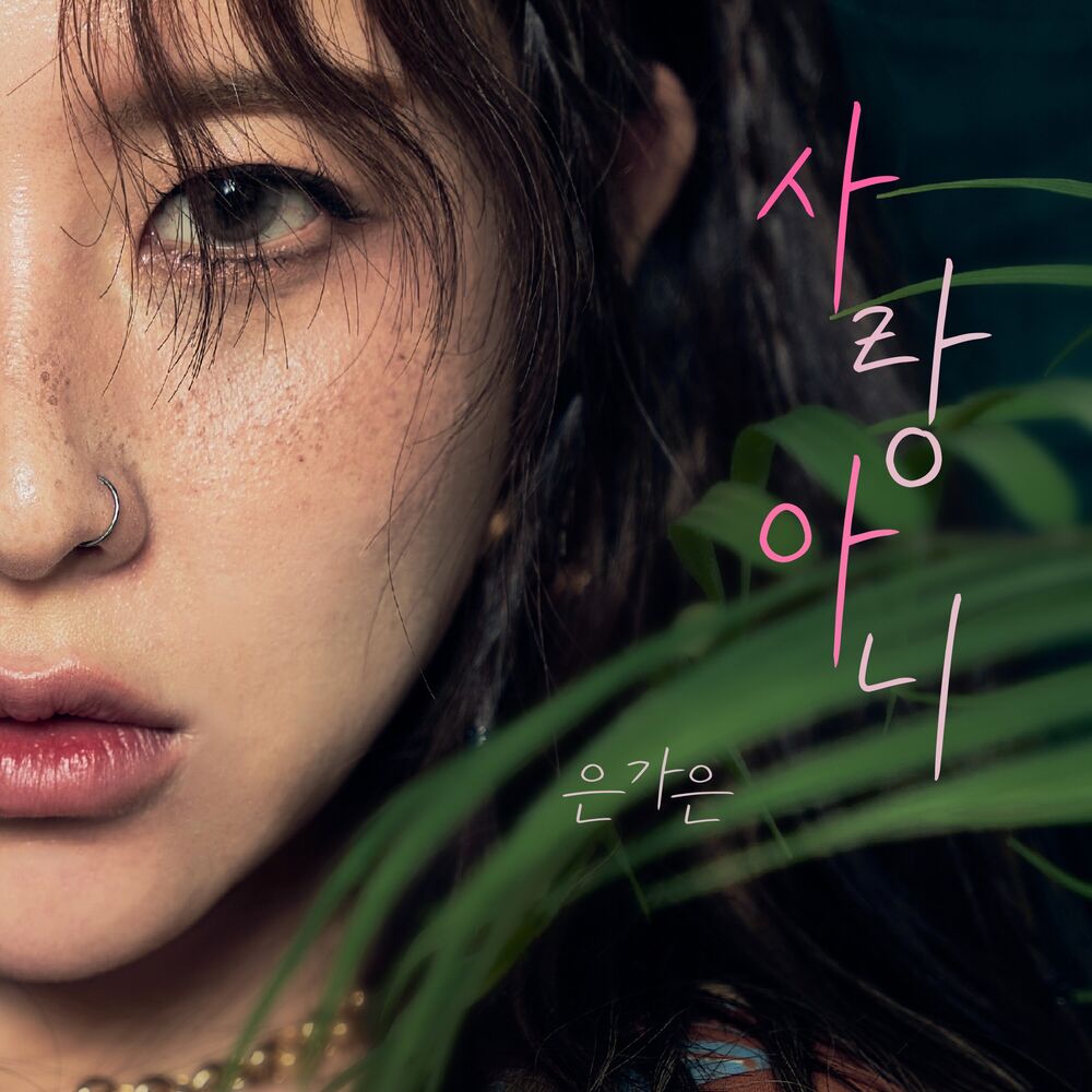 Picture of 사랑아니