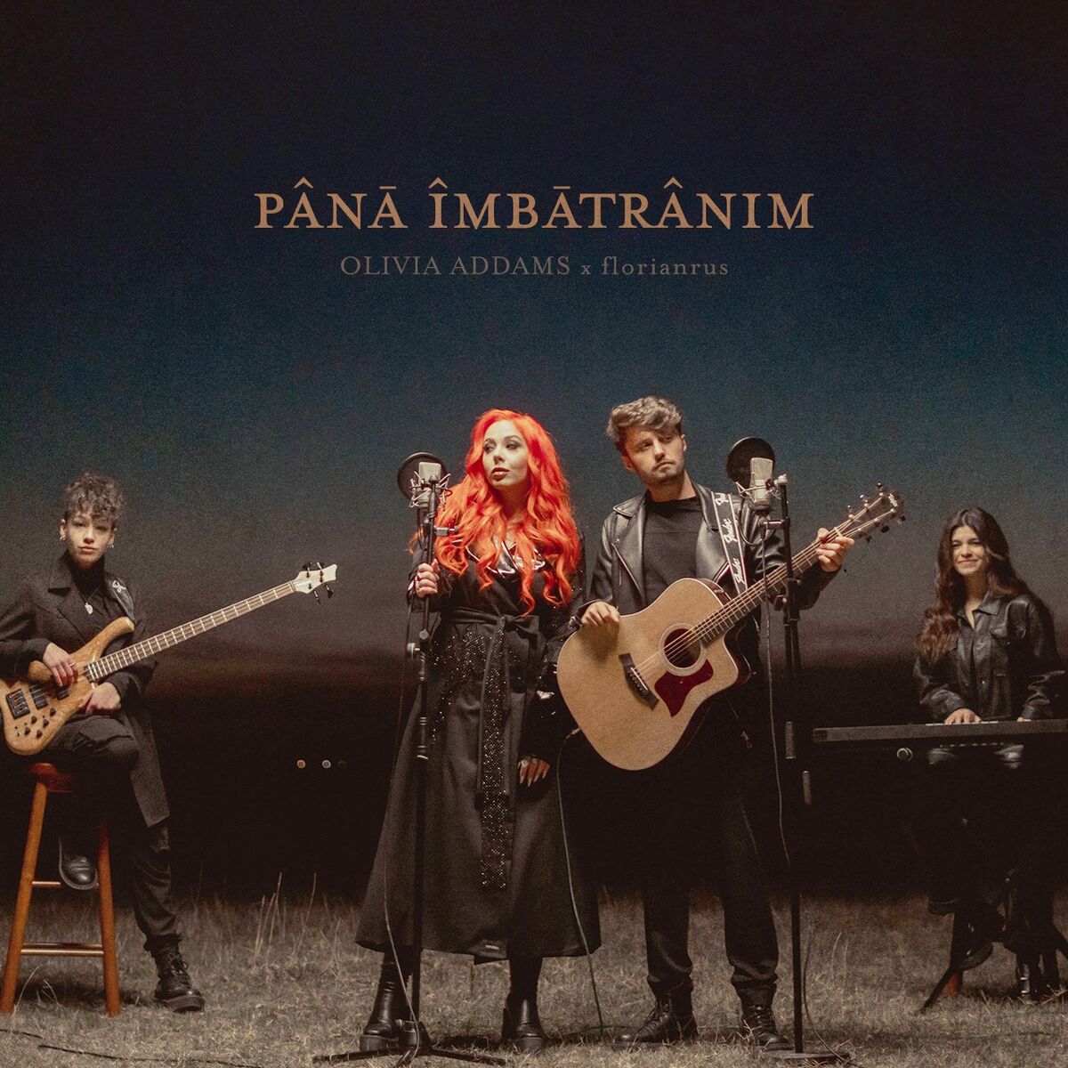 Album cover of Până îmbătrânim