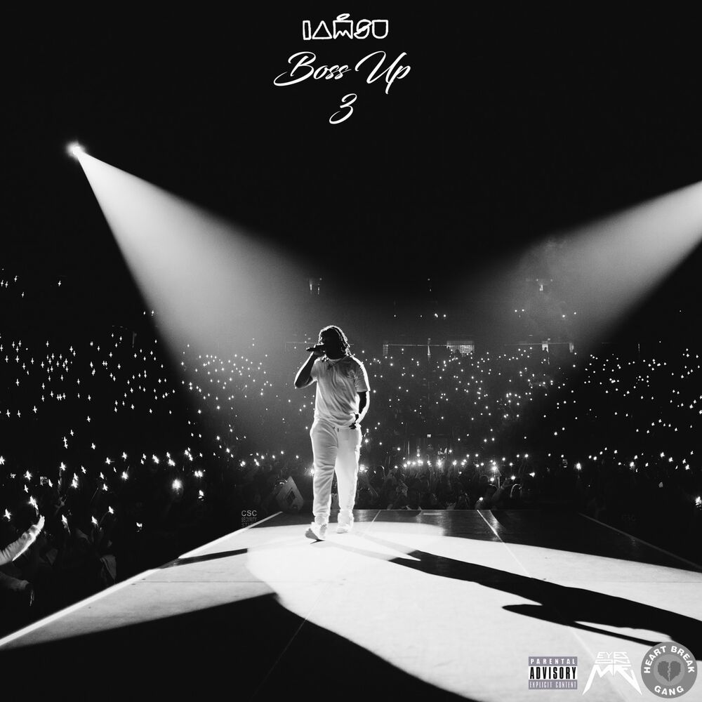 Picture of Boss up 3