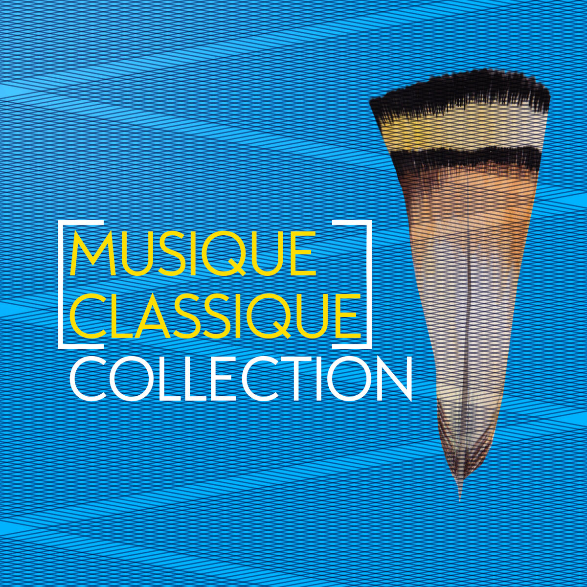Album cover of Musique Classique Collection