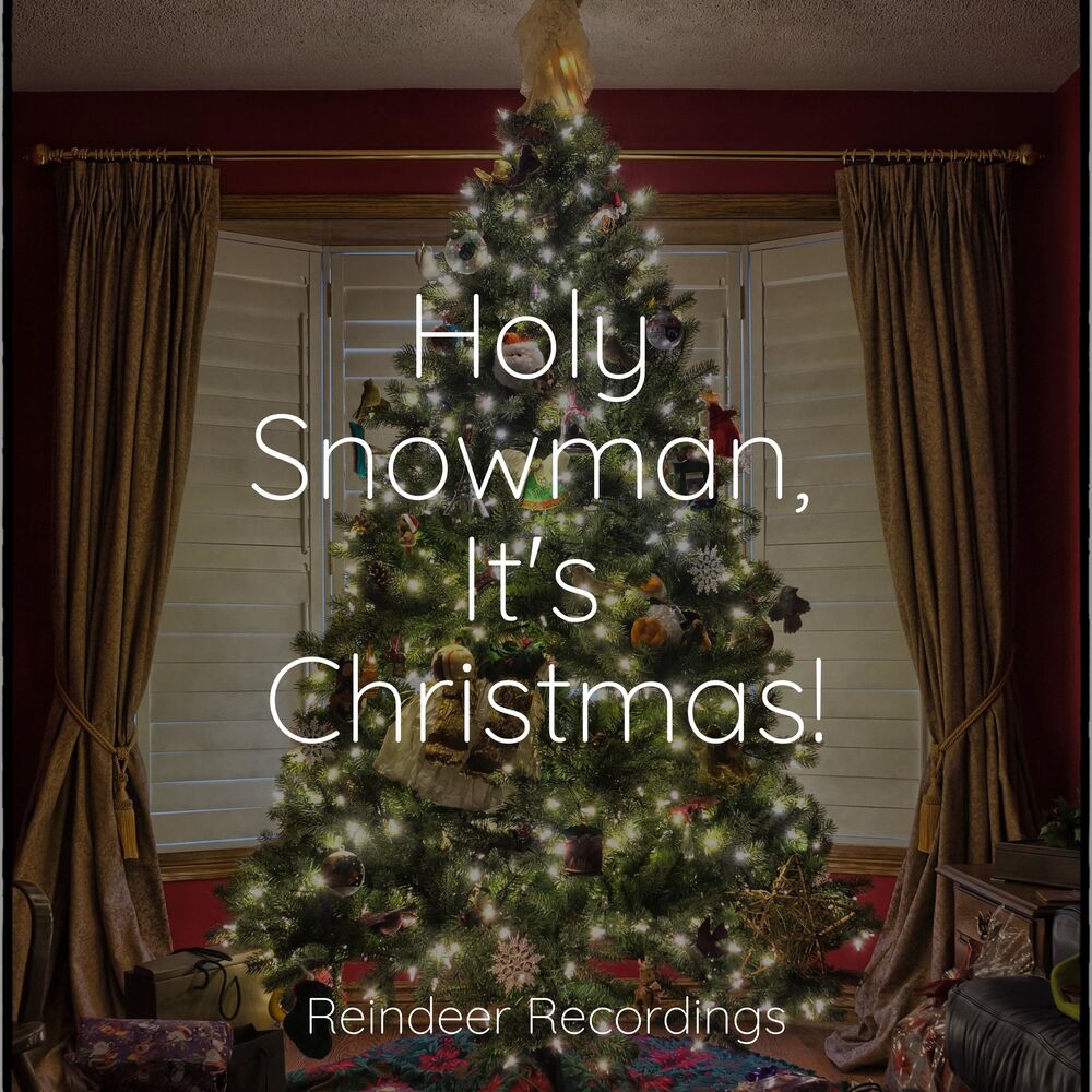 Picture of Holy Snowman, It's Christmas!