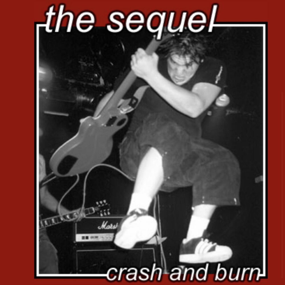 Picture of Crash and Burn