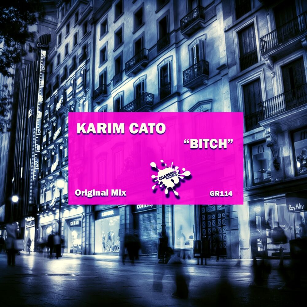 Picture of Bitch