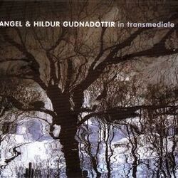 Cover of In Transmediale