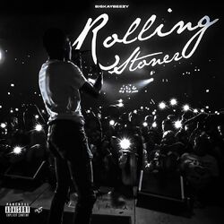 Cover of Rolling Stoner