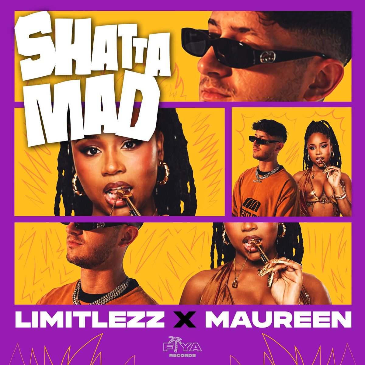 Album cover of Shatta Mad